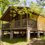Getaway to Nature: Adventure in Family Cabins