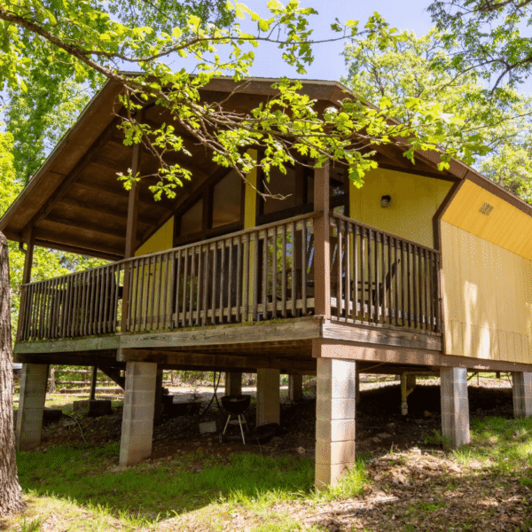 Getaway to Nature: Adventure in Family Cabins